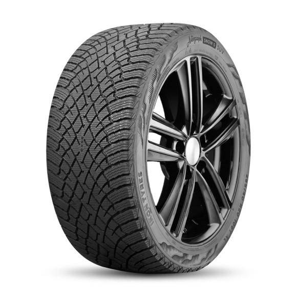 Шины Ikon Tyres  265/50/19  R 110 Ikon Autograph Snow 5 SUV  XL